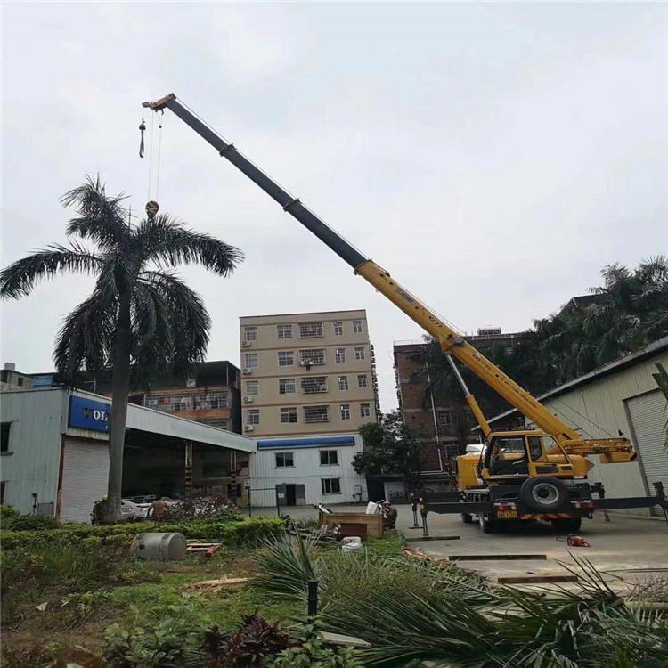 厦门海沧汽车吊出租多少钱？全面解析与市场行情